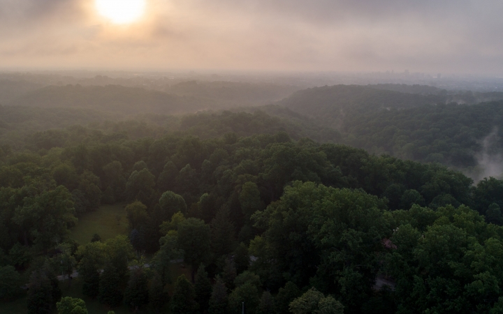The sun is low in the misty sky above a densely wooded area